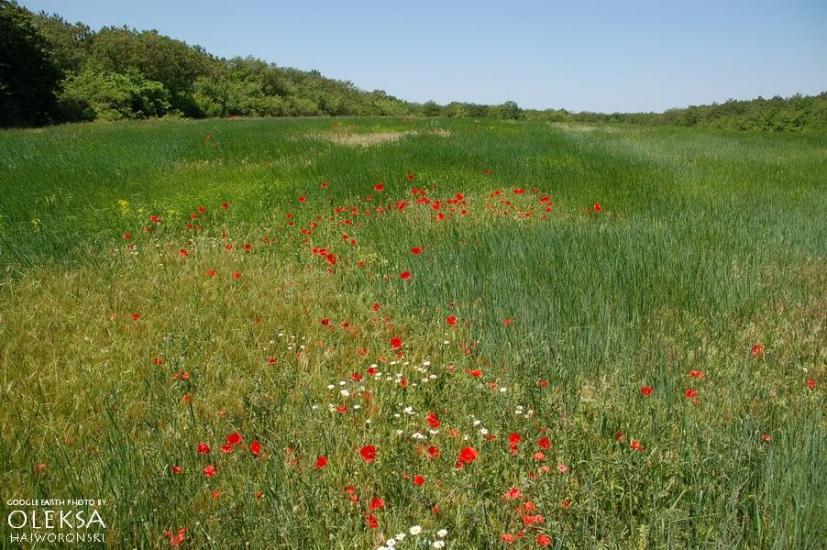 Річне з panoramio.com - Richne