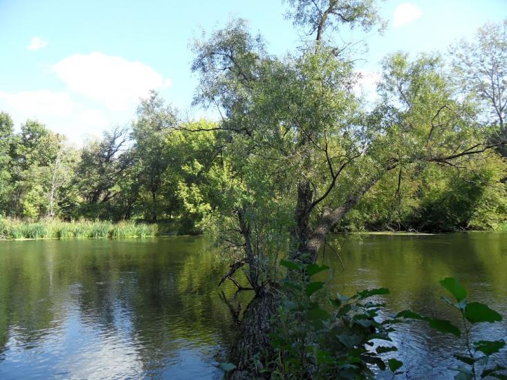 Гайдари з panoramio.com - Гайдары