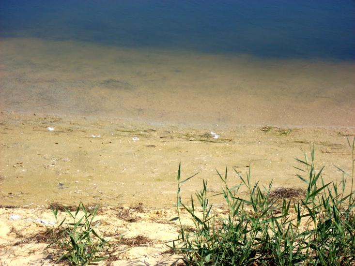 Хорли з panoramio.com - Хорли