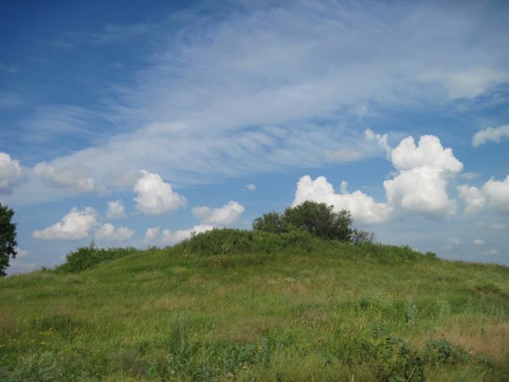 Пашенівка з panoramio.com - Пашеновка