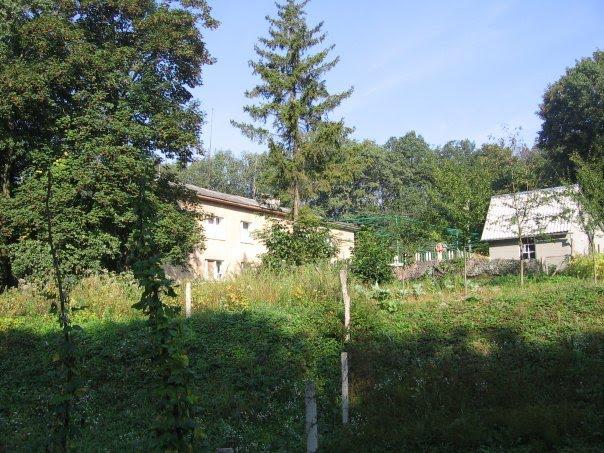 Хлопчиці з panoramio.com - Хлопчицы