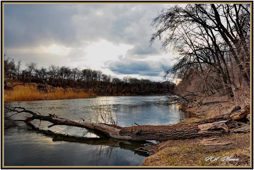 Привілля з panoramio.com - Pryvillya