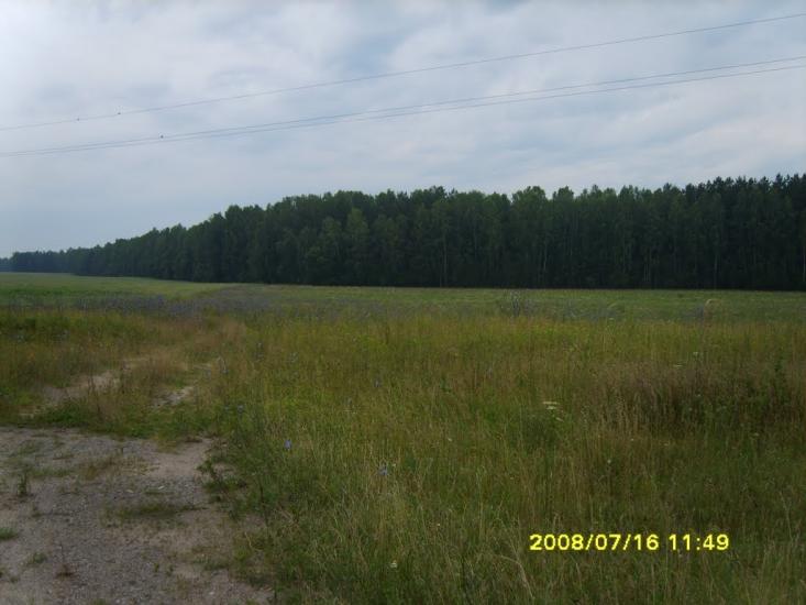 Заріччя з panoramio.com - Заріччя