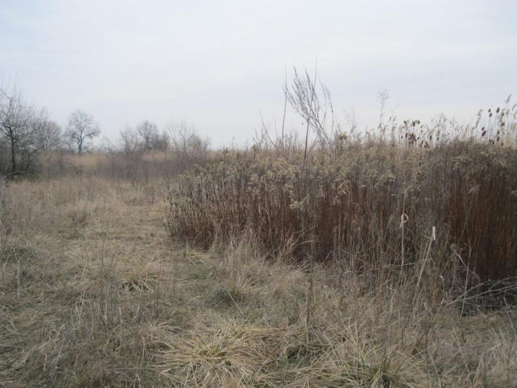 Високогірне з panoramio.com - Високогірне