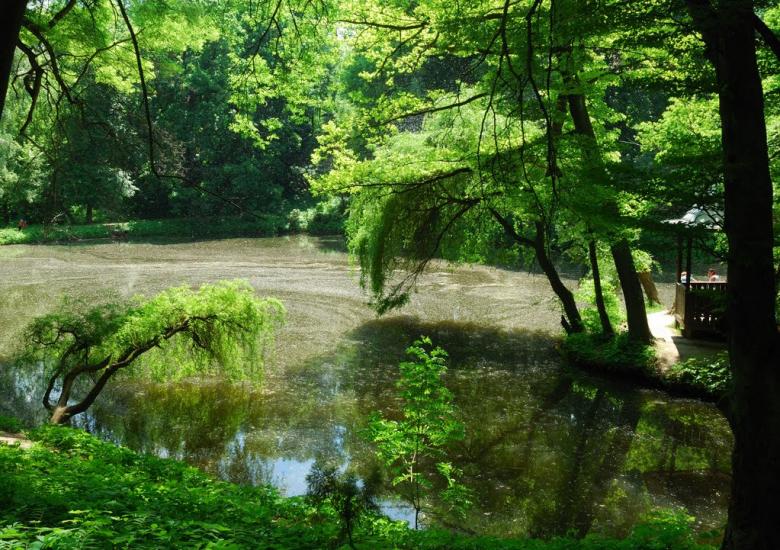 Краснокутськ з panoramio.com - Краснокутск