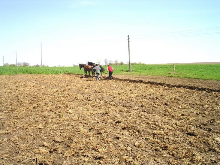 Бубнівка з panoramio.com - Бубнівка