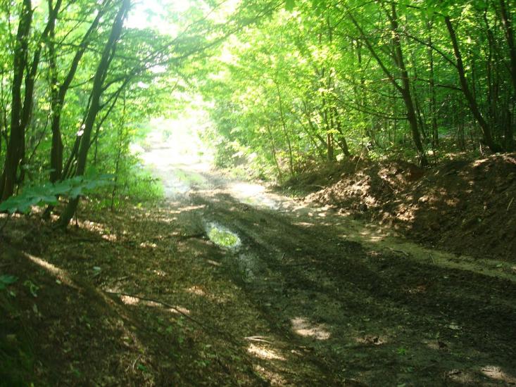 Стуфчинці з panoramio.com - Стуфчинці