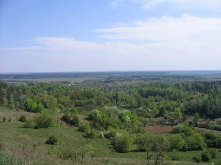 Курган з panoramio.com - Курган