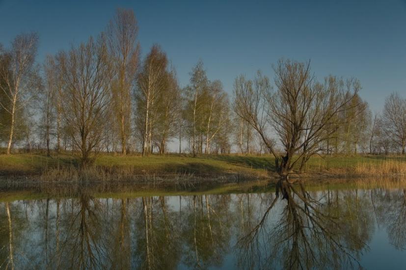 Малинівка з panoramio.com - Малиновка