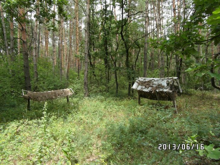 Стара Гнилиця з panoramio.com - Старая Гнилица