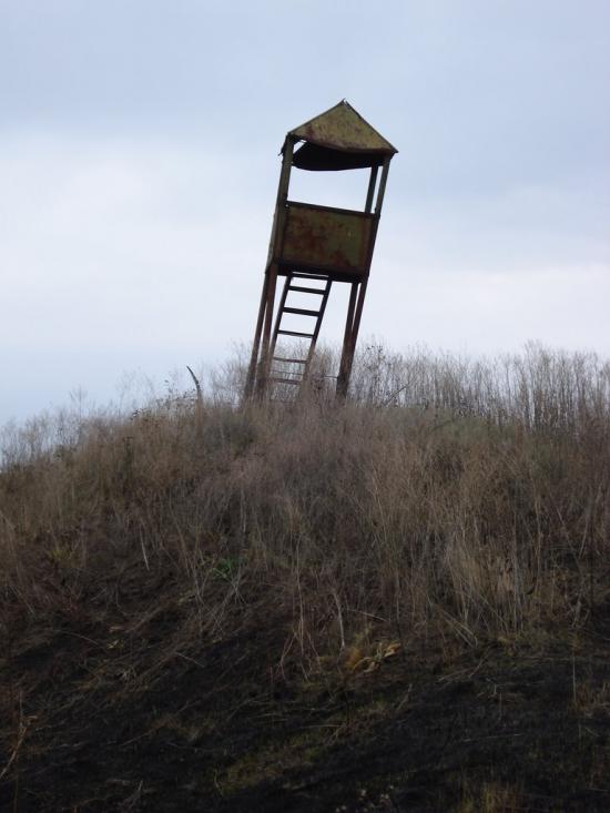 Раухівка з panoramio.com - Рауховка