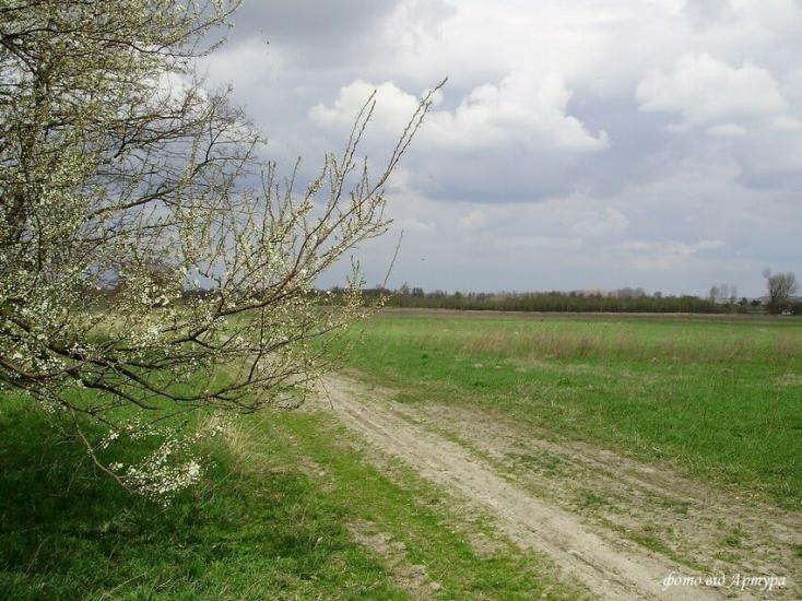 Звози з panoramio.com - Звозы