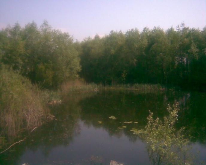 Синява з panoramio.com - Synyava