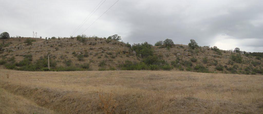 Долинне з panoramio.com - Долинное