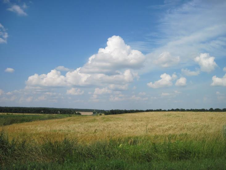 Пашенівка з panoramio.com - Пашеновка