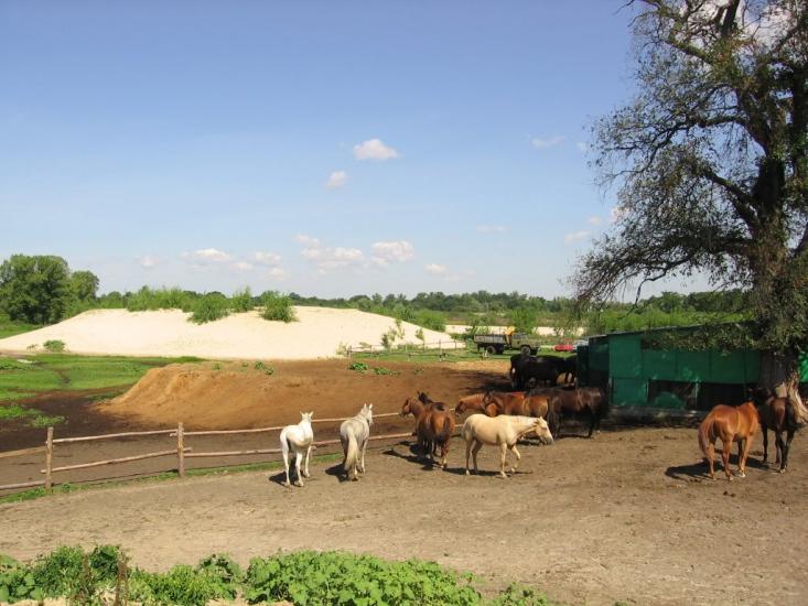 Романків з panoramio.com - Романков