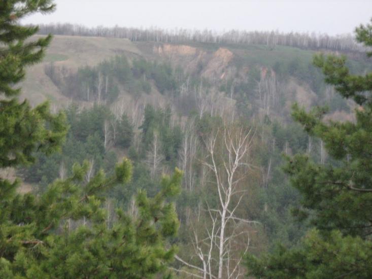 Курган з panoramio.com - Курган