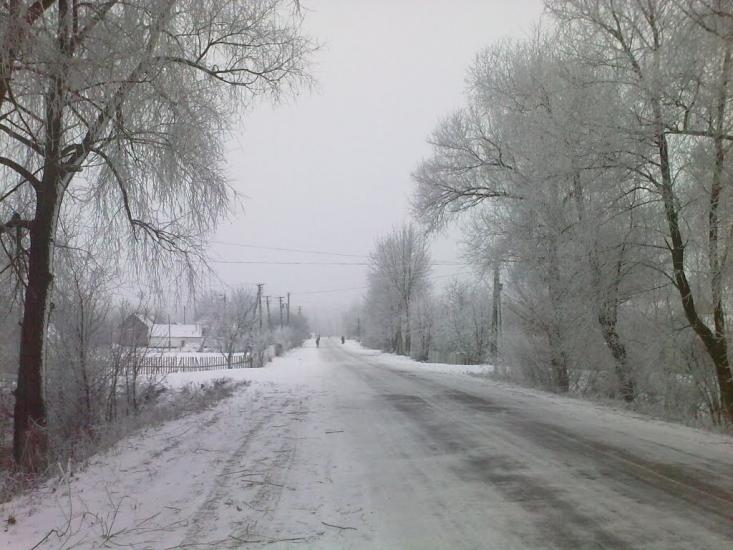 Нова Романівка з panoramio.com - Нова Романівка