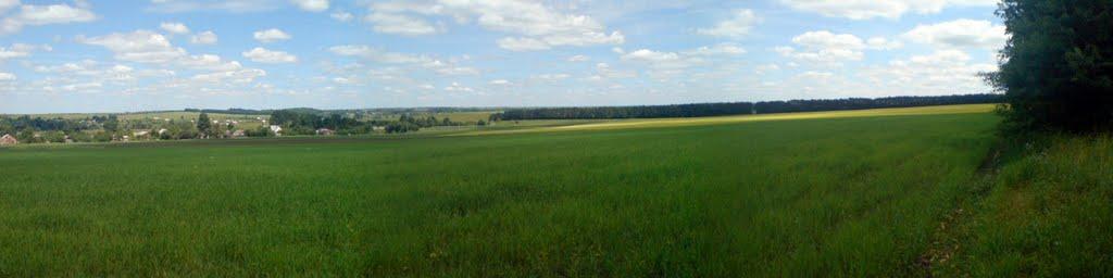 Ружичанка з panoramio.com - Ruzhychanka