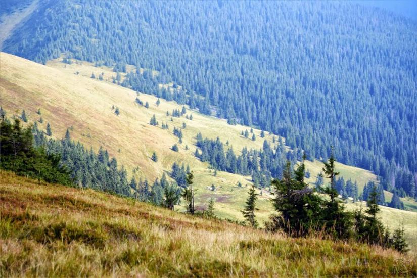 Береги з panoramio.com - Береги
