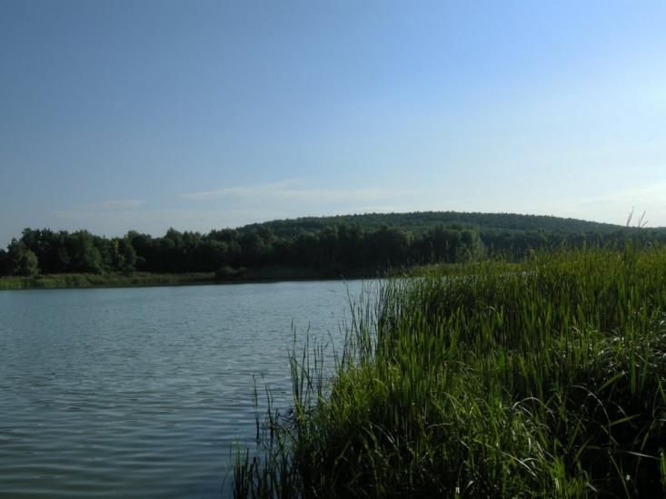 Кодима з panoramio.com - Кодима