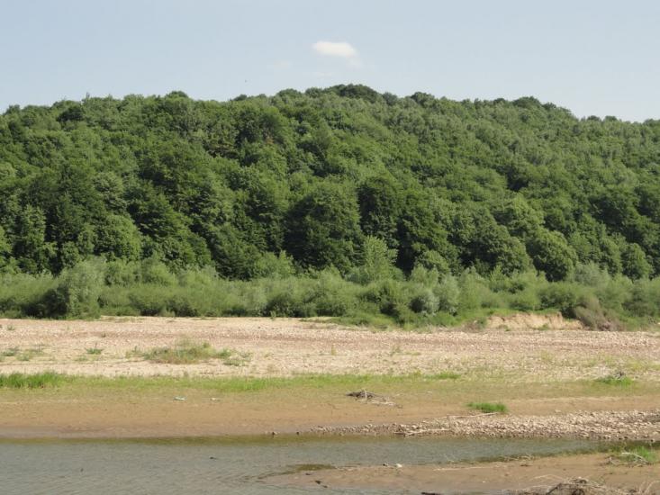 Перевозець з panoramio.com - Перевозець