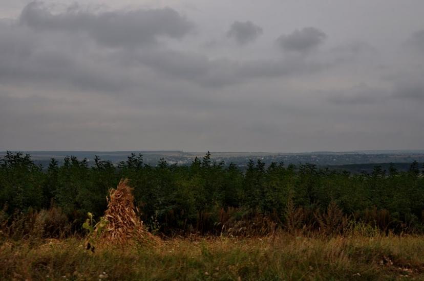 Подвір'ївка з panoramio.com - Подворьевка