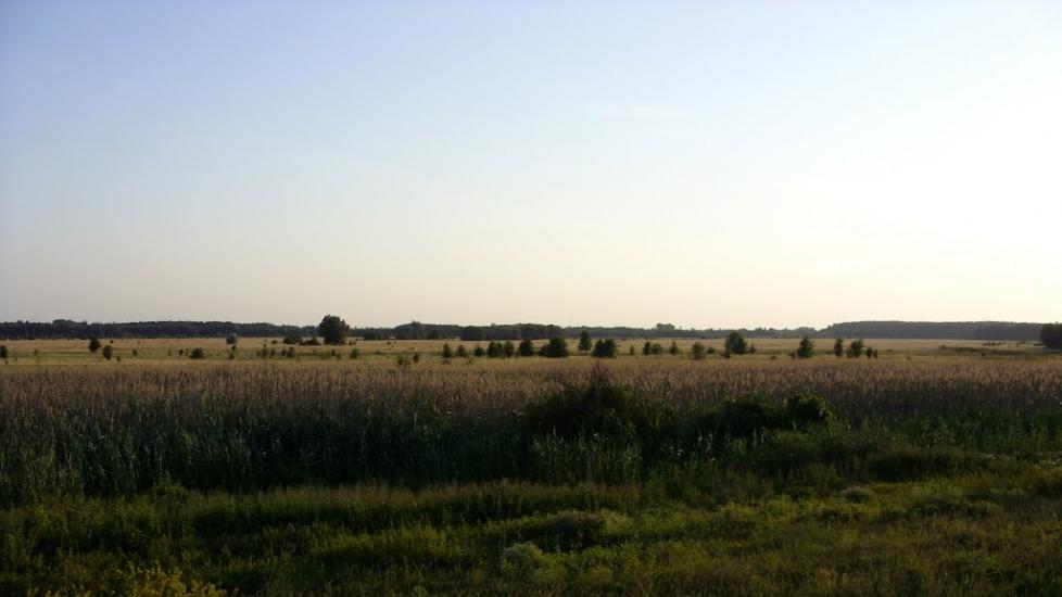 Пашенівка з panoramio.com - Пашеновка