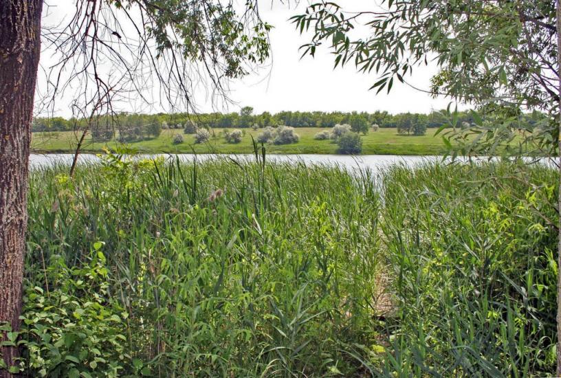 Черняки з panoramio.com - Черняки