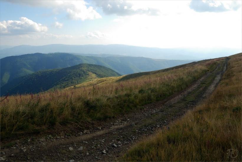 Вовчий з panoramio.com - Vovchyy