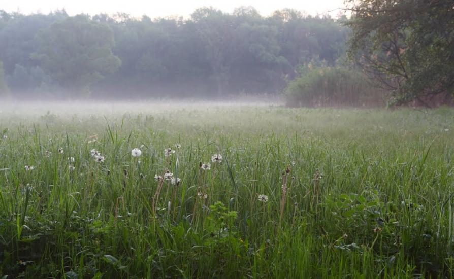 Коропове з panoramio.com - Коропово