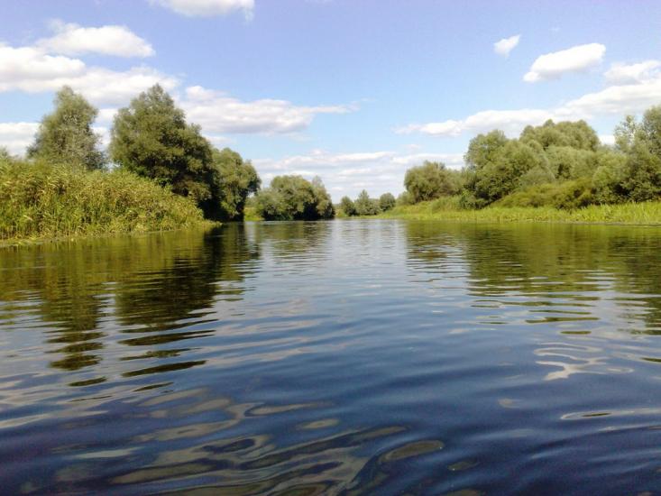 Щурівка з panoramio.com - Щуровка