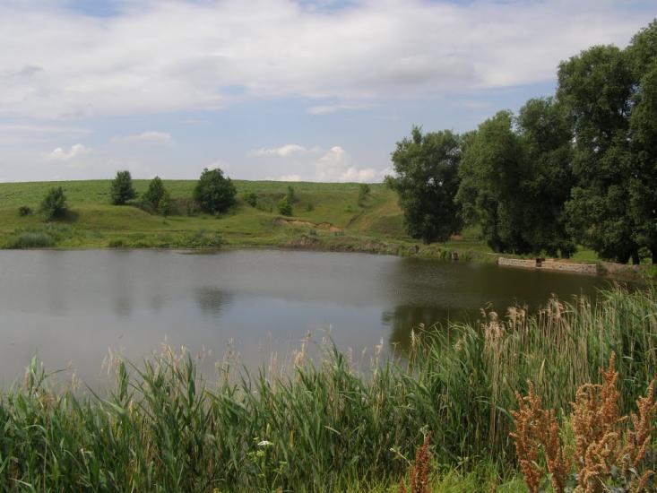 Петро-Марківка з panoramio.com - Петро-Марківка