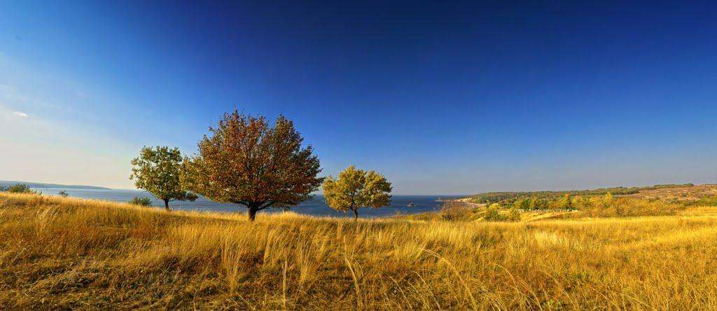 Велика Андрусівка з panoramio.com - Велика Андрусівка