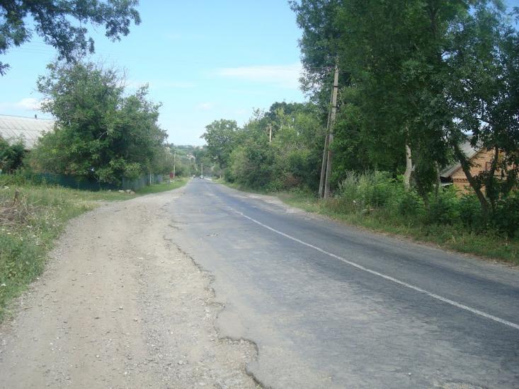 Ружичанка з panoramio.com - Ruzhychanka
