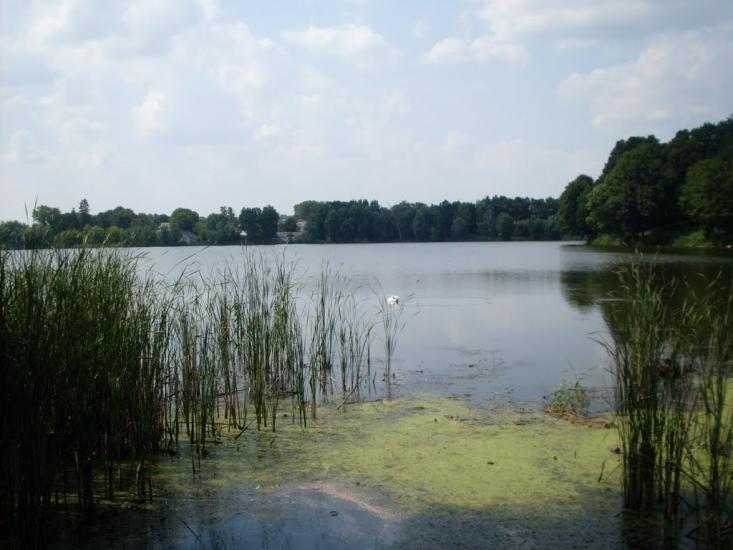 Ситківці з panoramio.com - Ситковцы