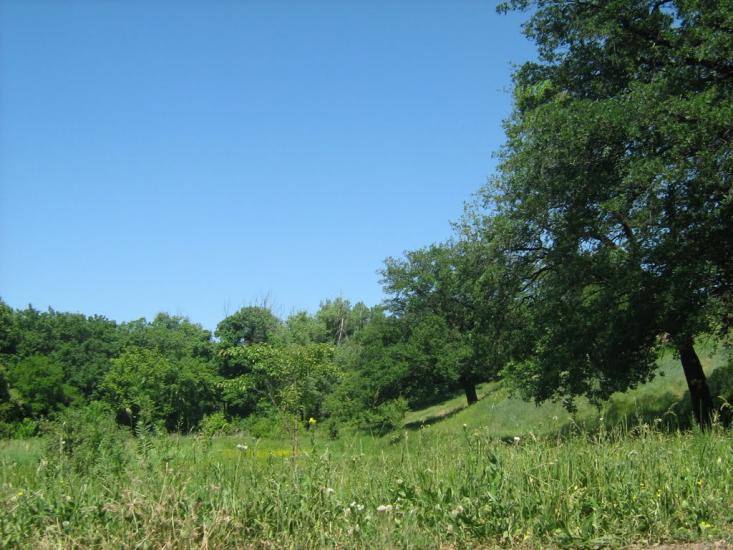 Дебальцеве з panoramio.com - The Debaltsevo