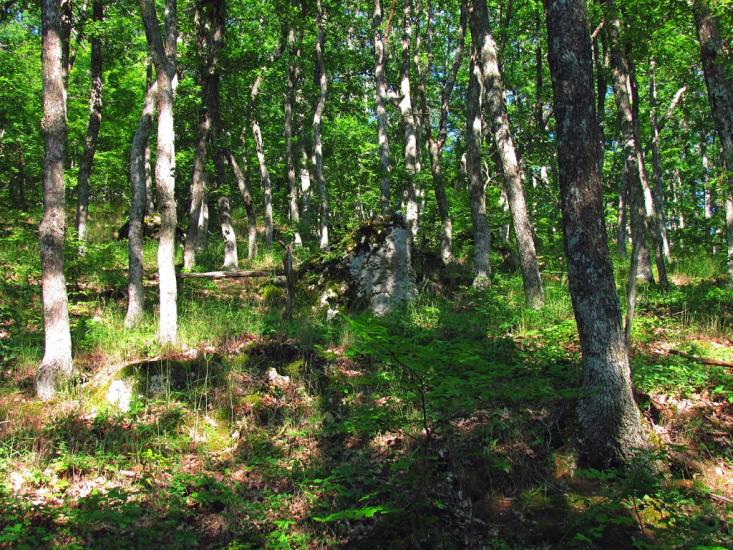 Гончарне з panoramio.com - Гончарне