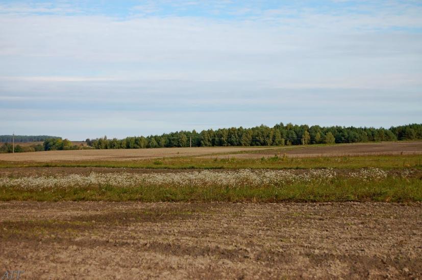 Велика Ведмежка з panoramio.com - Великая Ведмежка