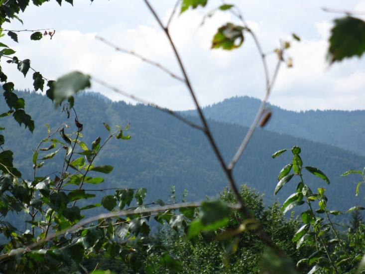Нижня Рожанка з panoramio.com - Нижняя Рожанка