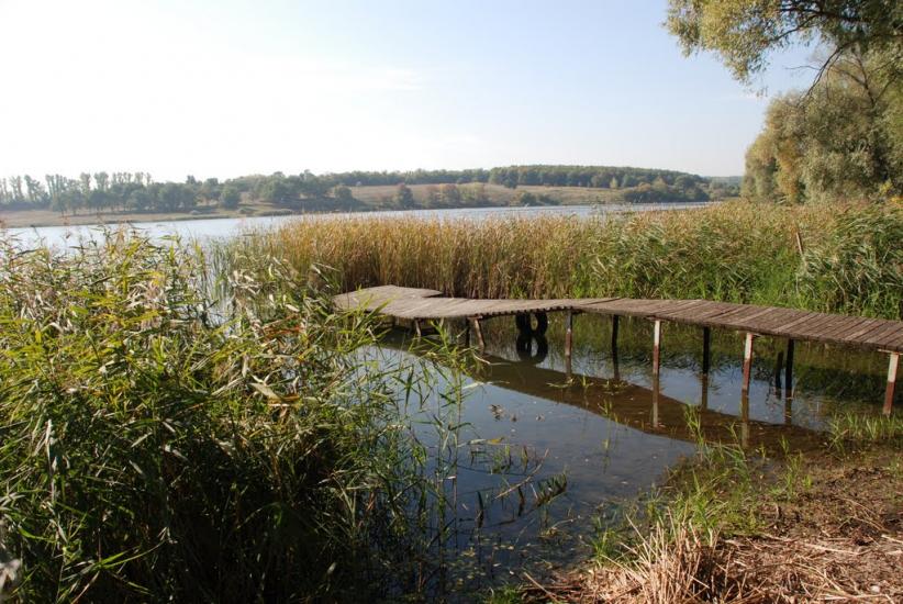 Черняки з panoramio.com - Черняки