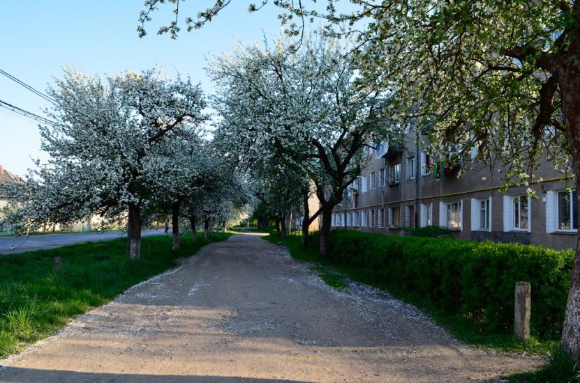 Дубриничі з panoramio.com - Дубриничи