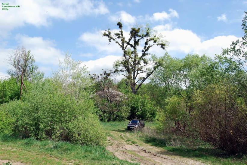 Безруки з panoramio.com - Безруки