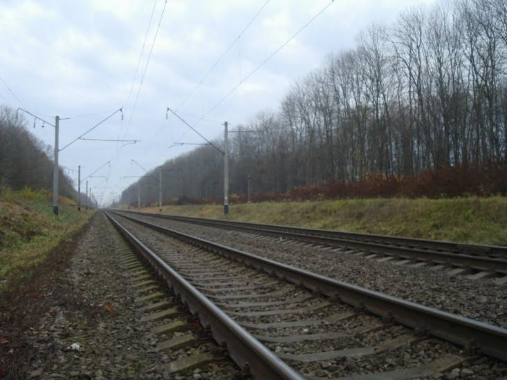 Копачівка з panoramio.com - Копачевка