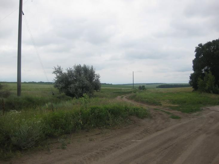 Садки з panoramio.com - Садки