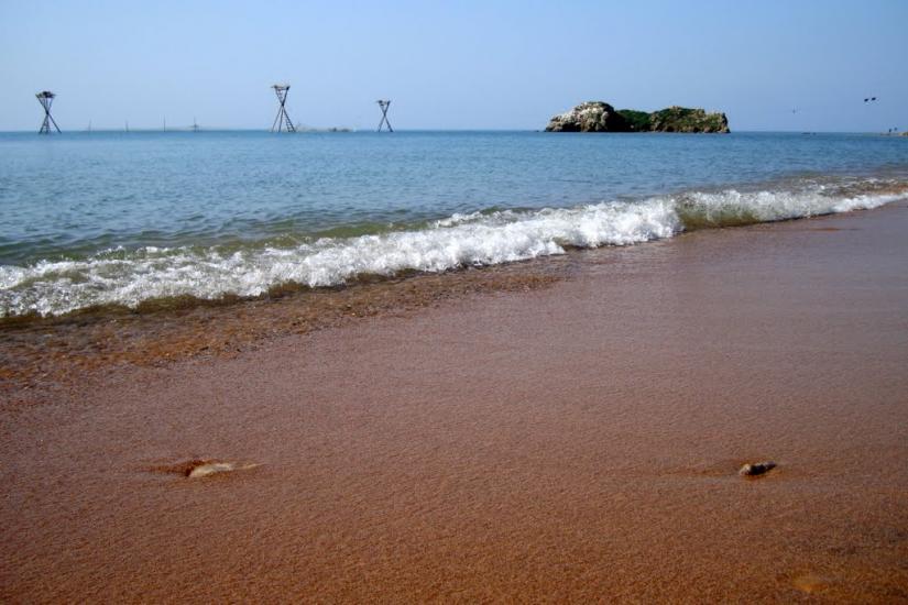 Завітне з panoramio.com - Завітне