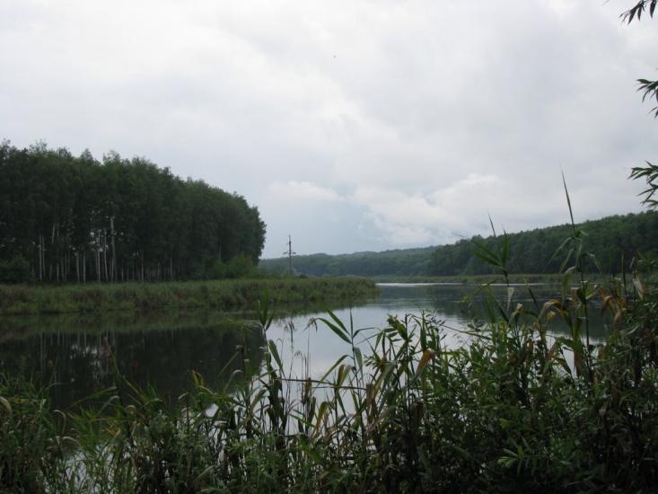 Люботин з panoramio.com - Люботин