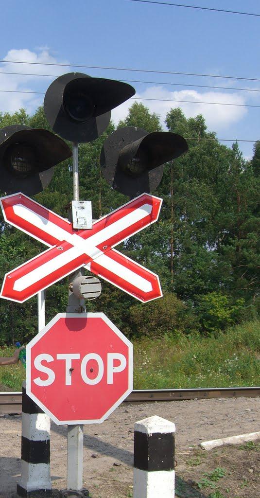 Воля-Любитівська з panoramio.com - Воля-Любитівська