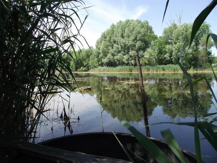 Розаліївка з panoramio.com - Розаліївка