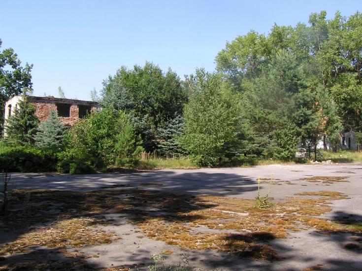 Горщик з panoramio.com - Горщик